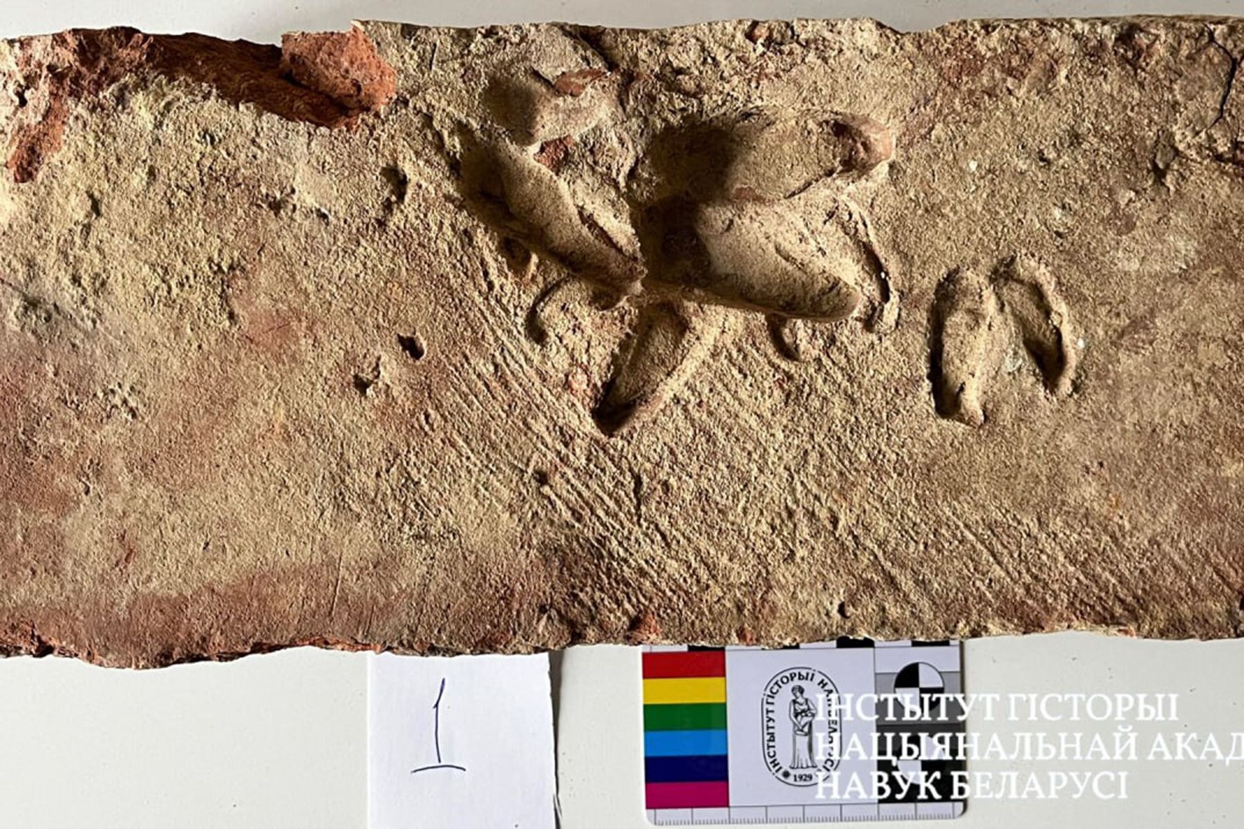 Раскопки в поселке Изабелин 