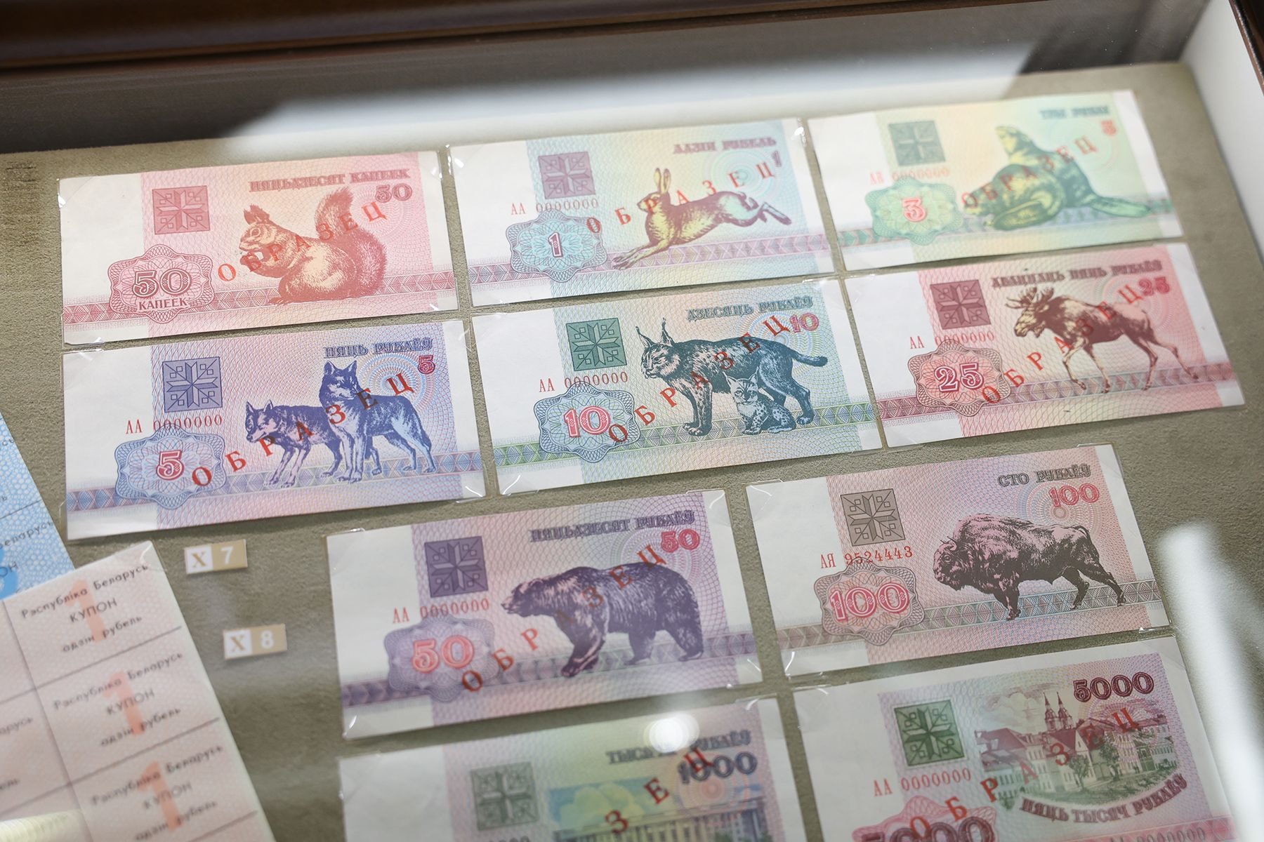 Расчетные билеты – деньги с изображением животных