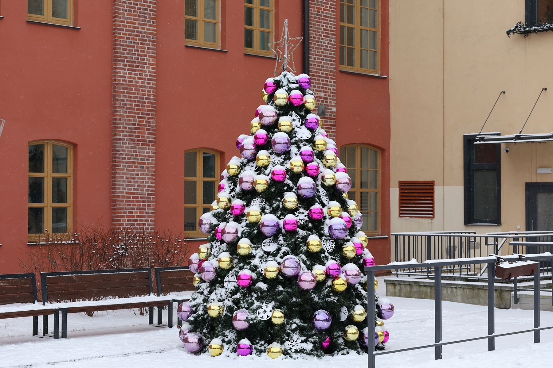 новогодние фотозоны