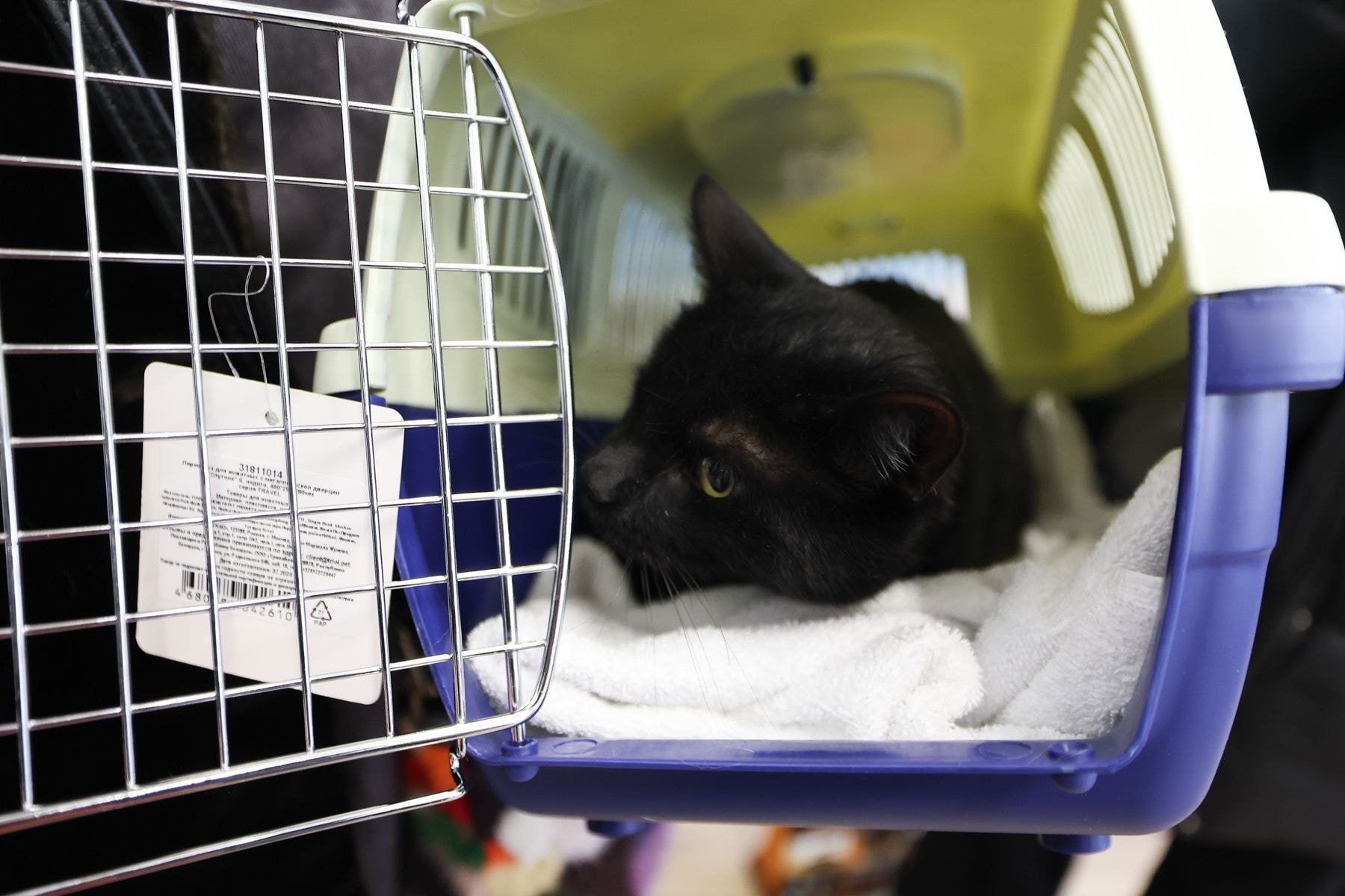 © Павел Орловский, Times.by