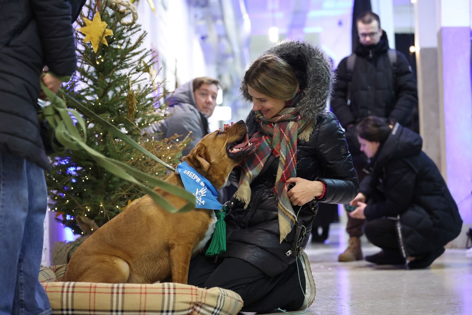© Павел Орловский, Times.by