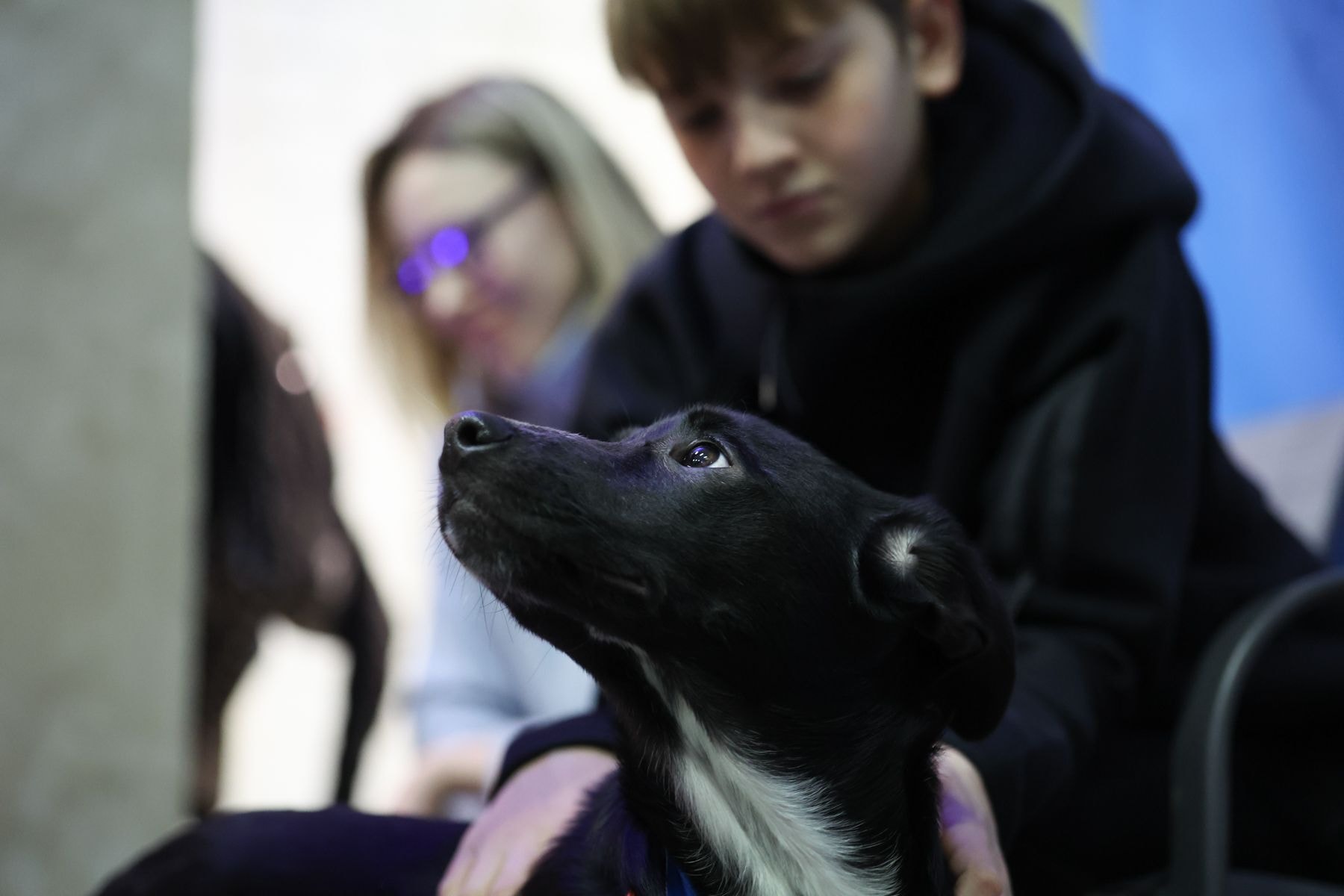 © Павел Орловский, Times.by