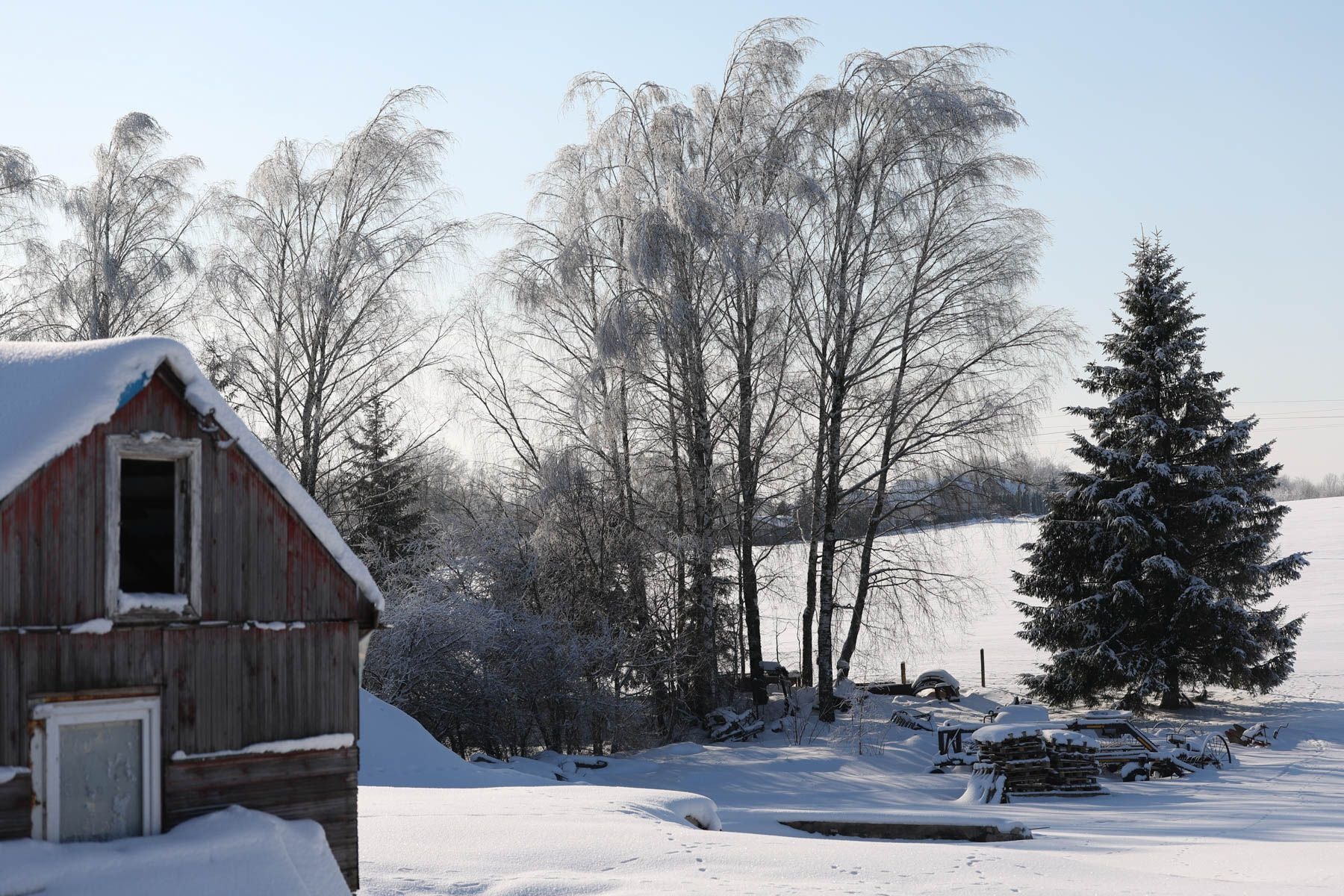 © Павел Орловский, Times.by