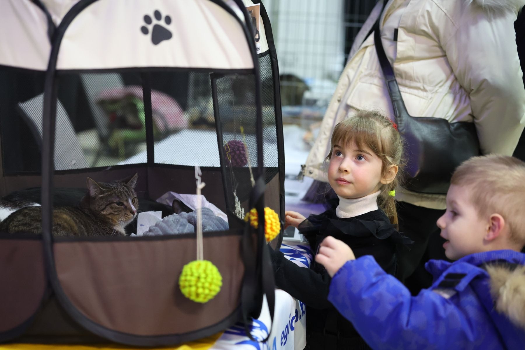 © Павел Орловский, Times.by