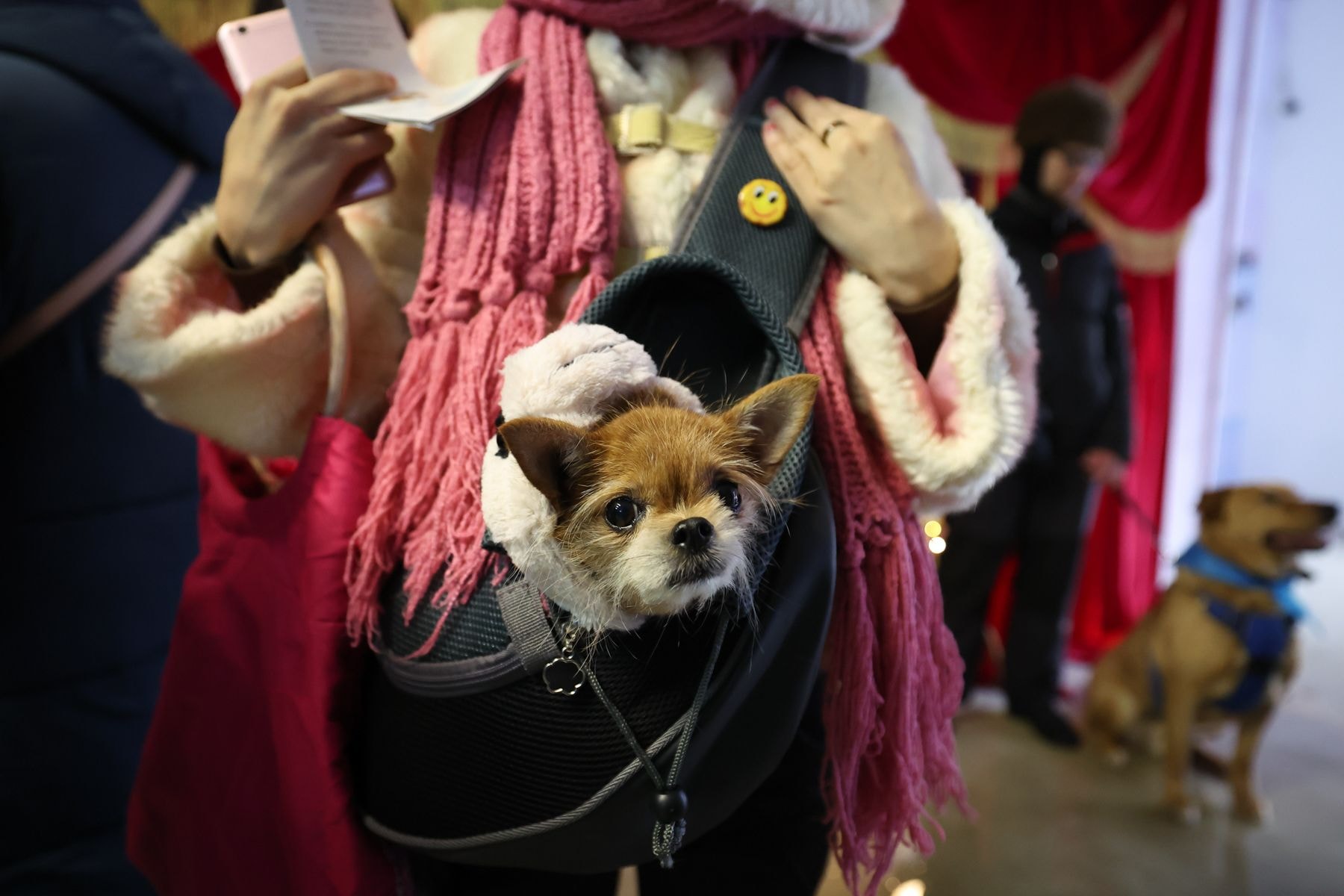 © Павел Орловский, Times.by