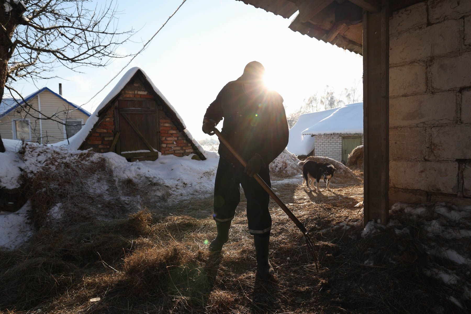 © Павел Орловский, Times.by