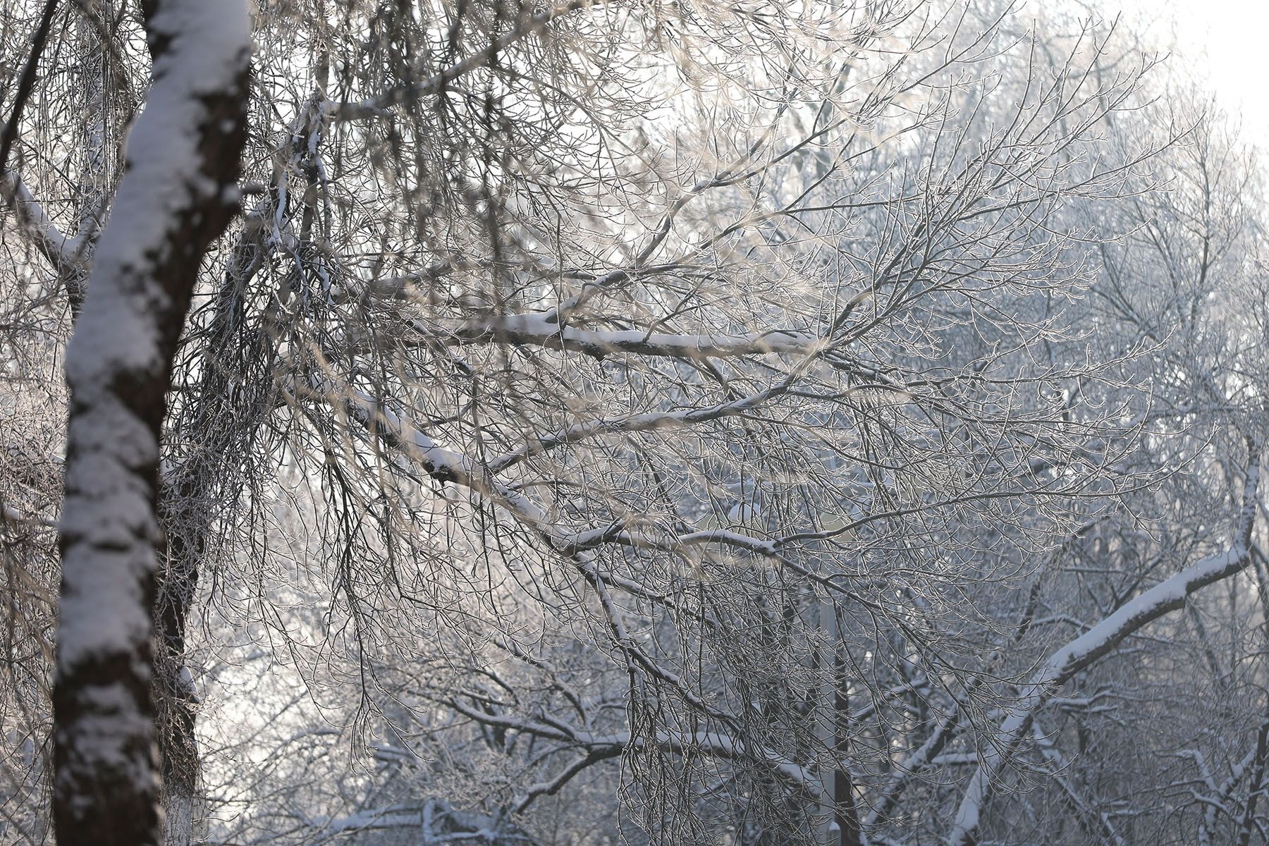 Январские морозы в 2026-м. © Павел Орловский, Times.by