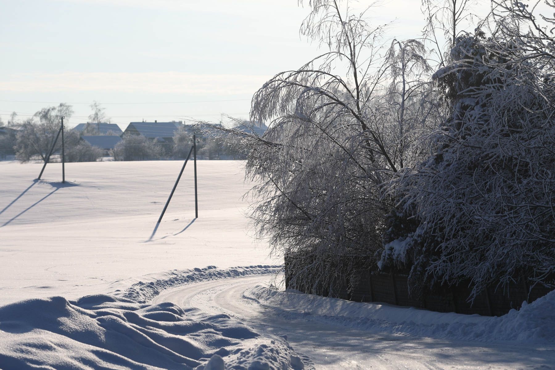 © Павел Орловский, Times.by