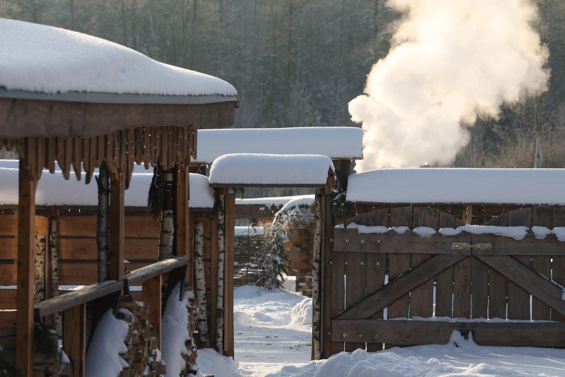 Хутор здоровья