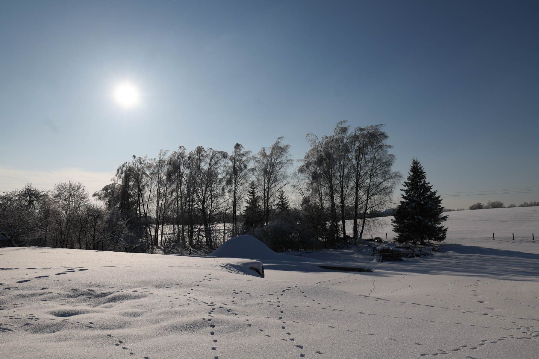 © Павел Орловский, Times.by