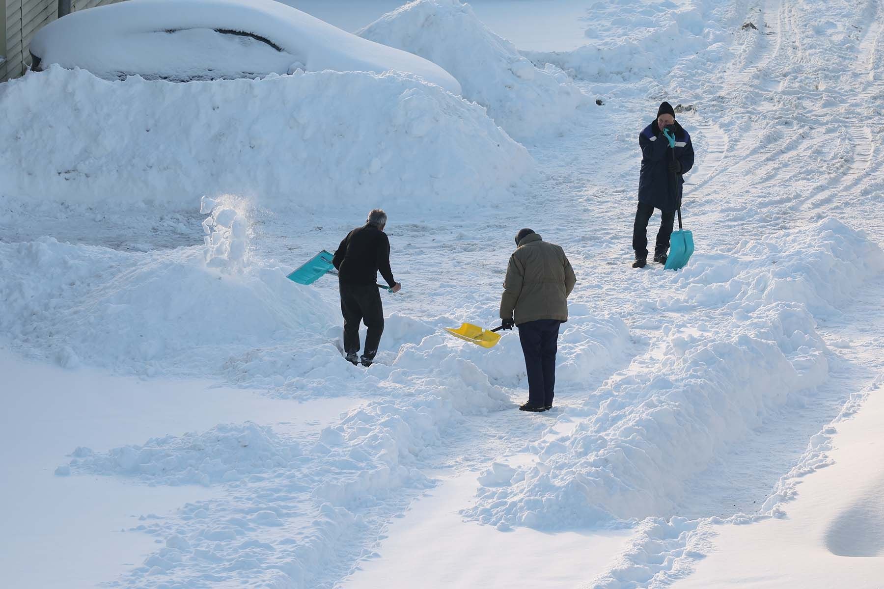 © Павел Орловский, Times.by
