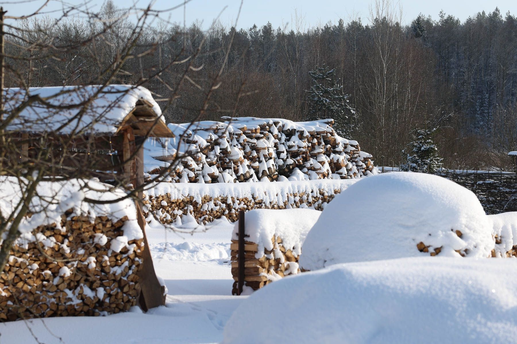 © Павел Орловский, Times.by