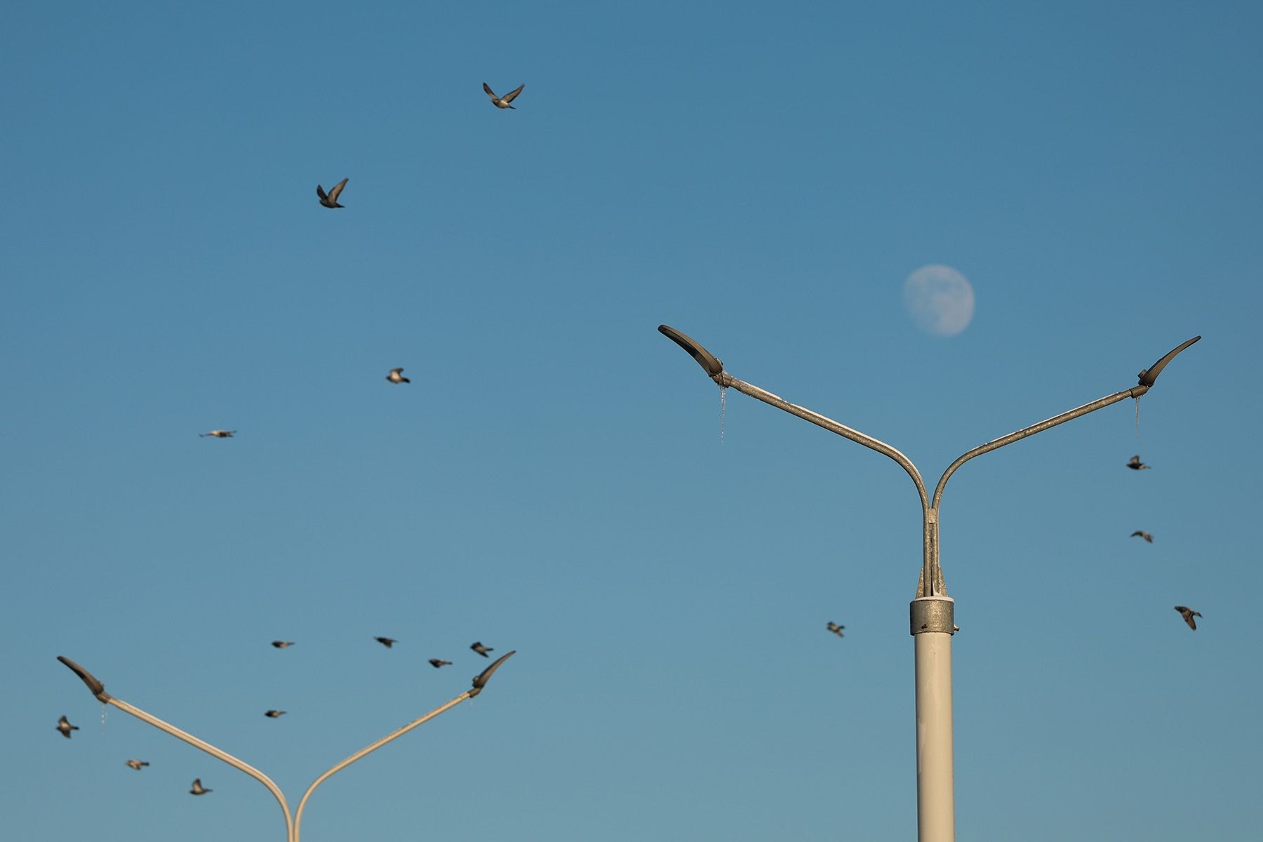 Растущая Луна