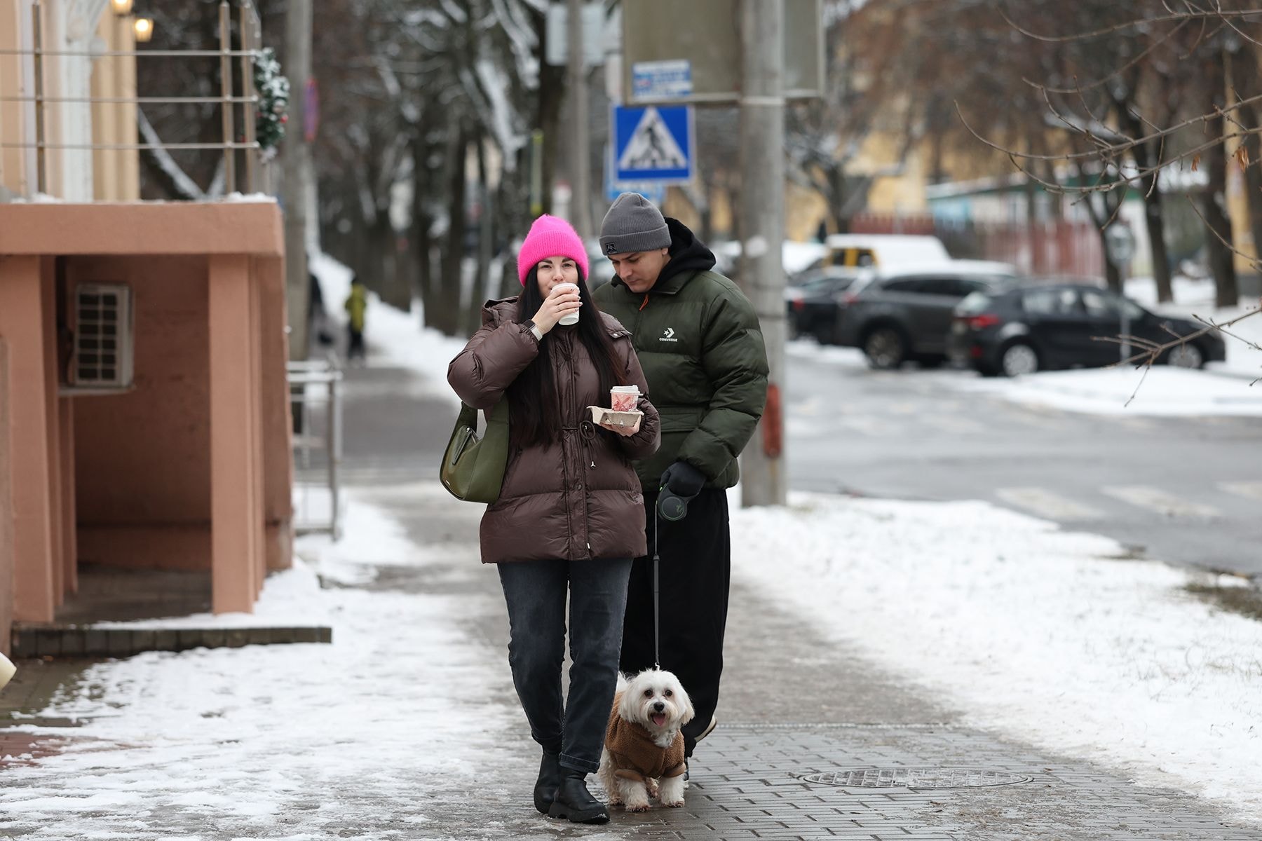 Пара гуляет с собакой
