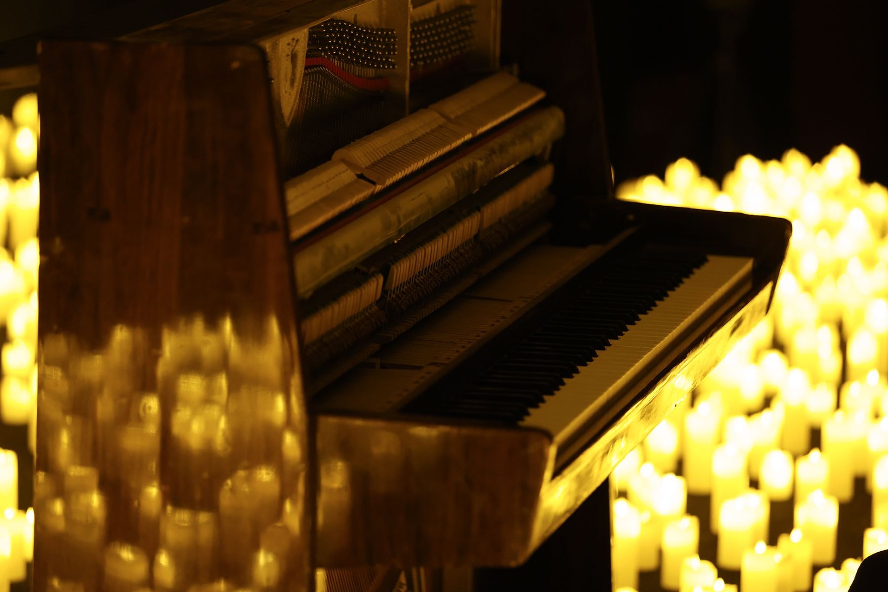 На концерте Александра Орловича