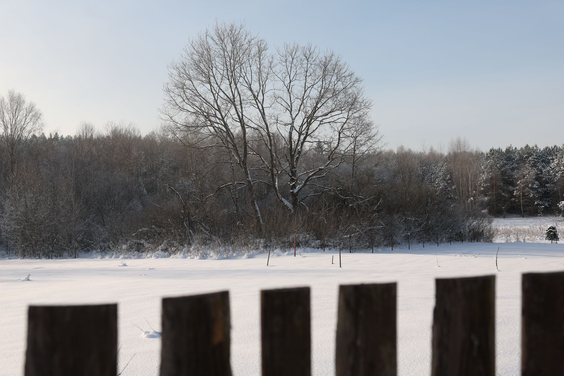 Зимний пейзаж