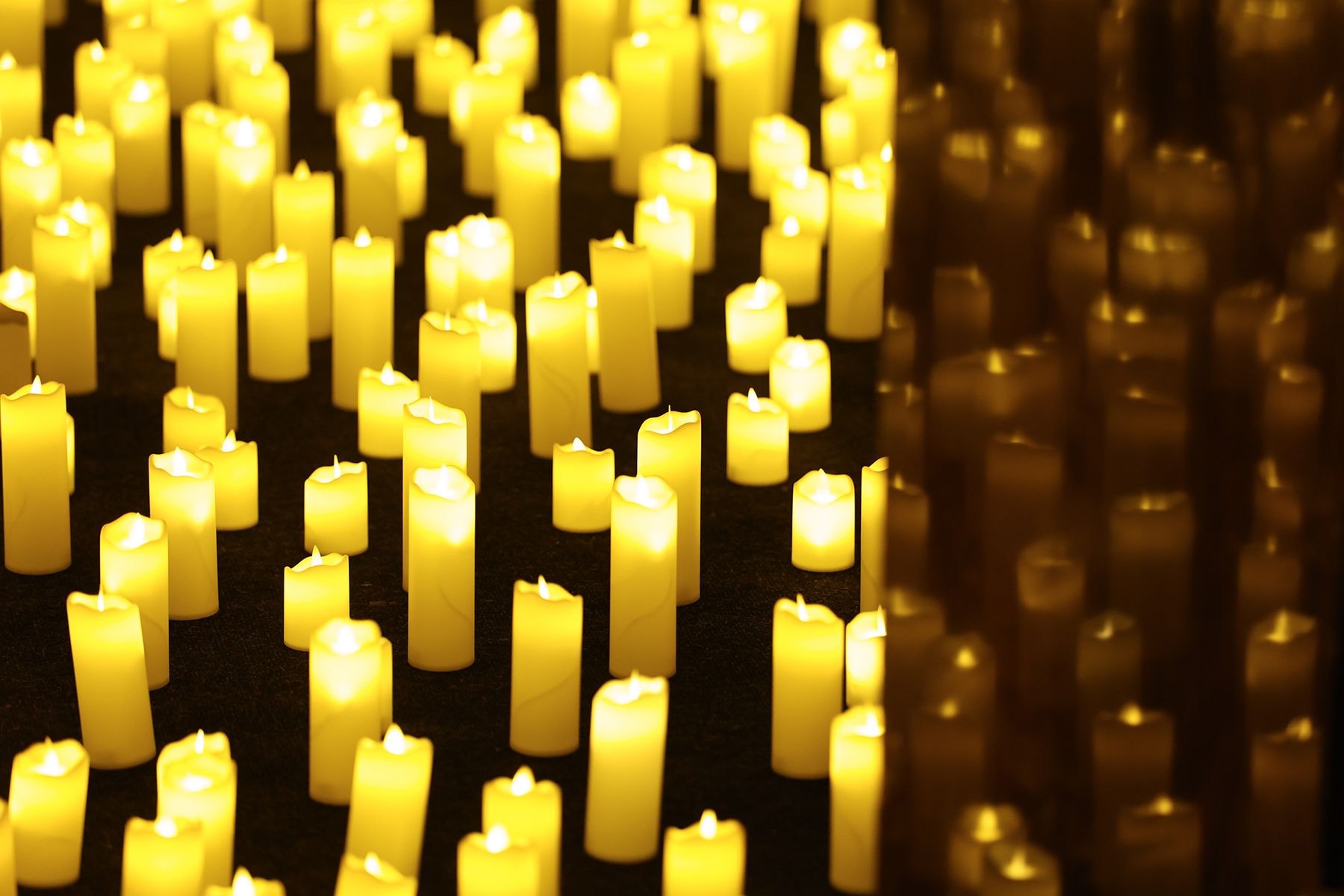 На концерте Александра Орловича