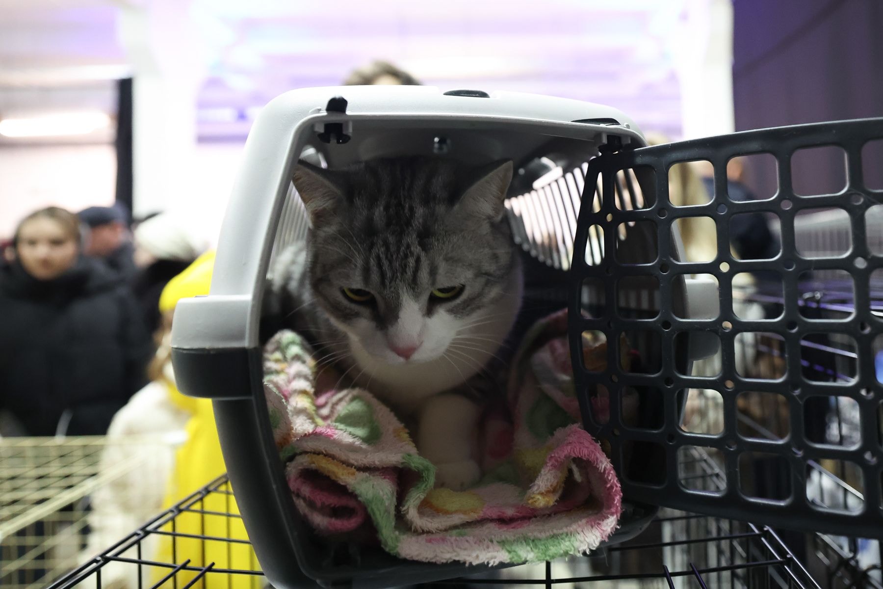 © Павел Орловский, Times.by