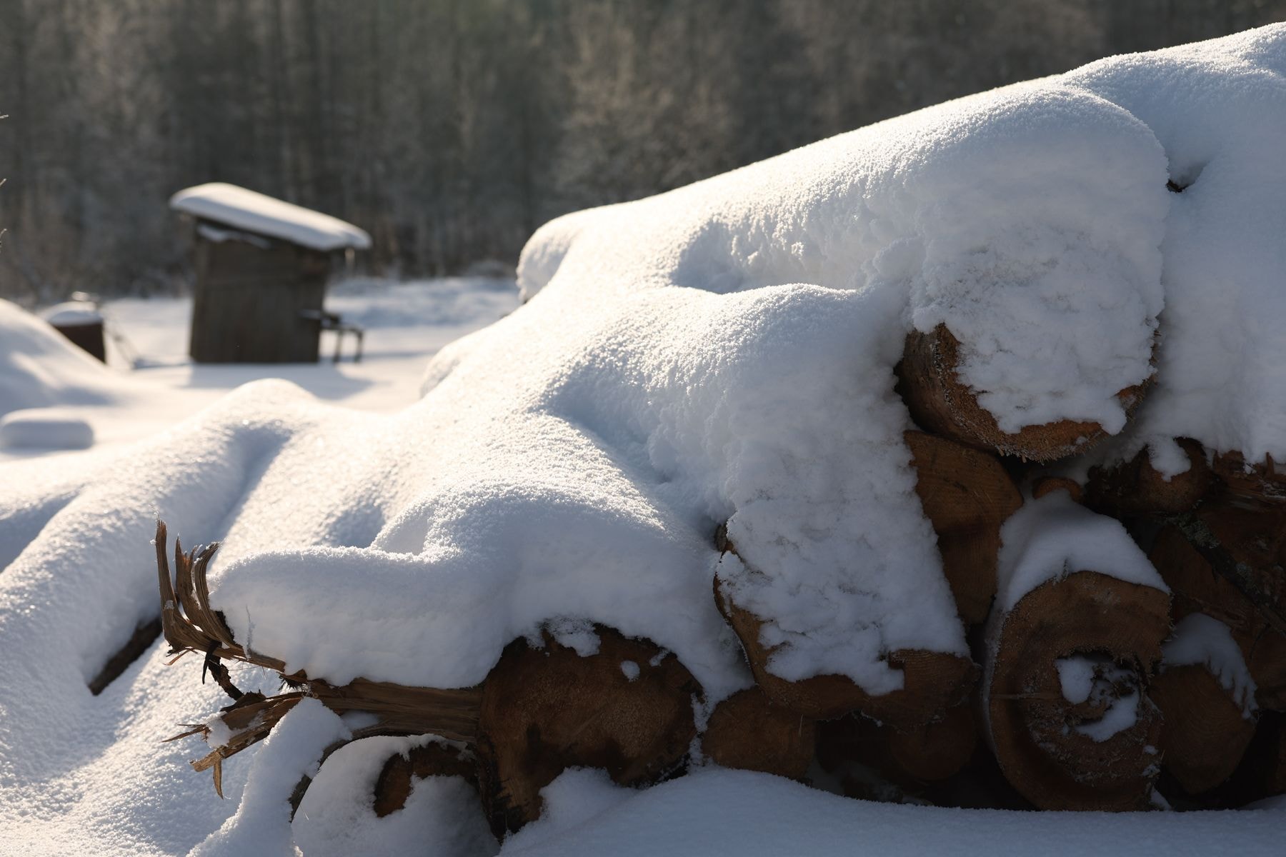 Деревня Ливье зимой
