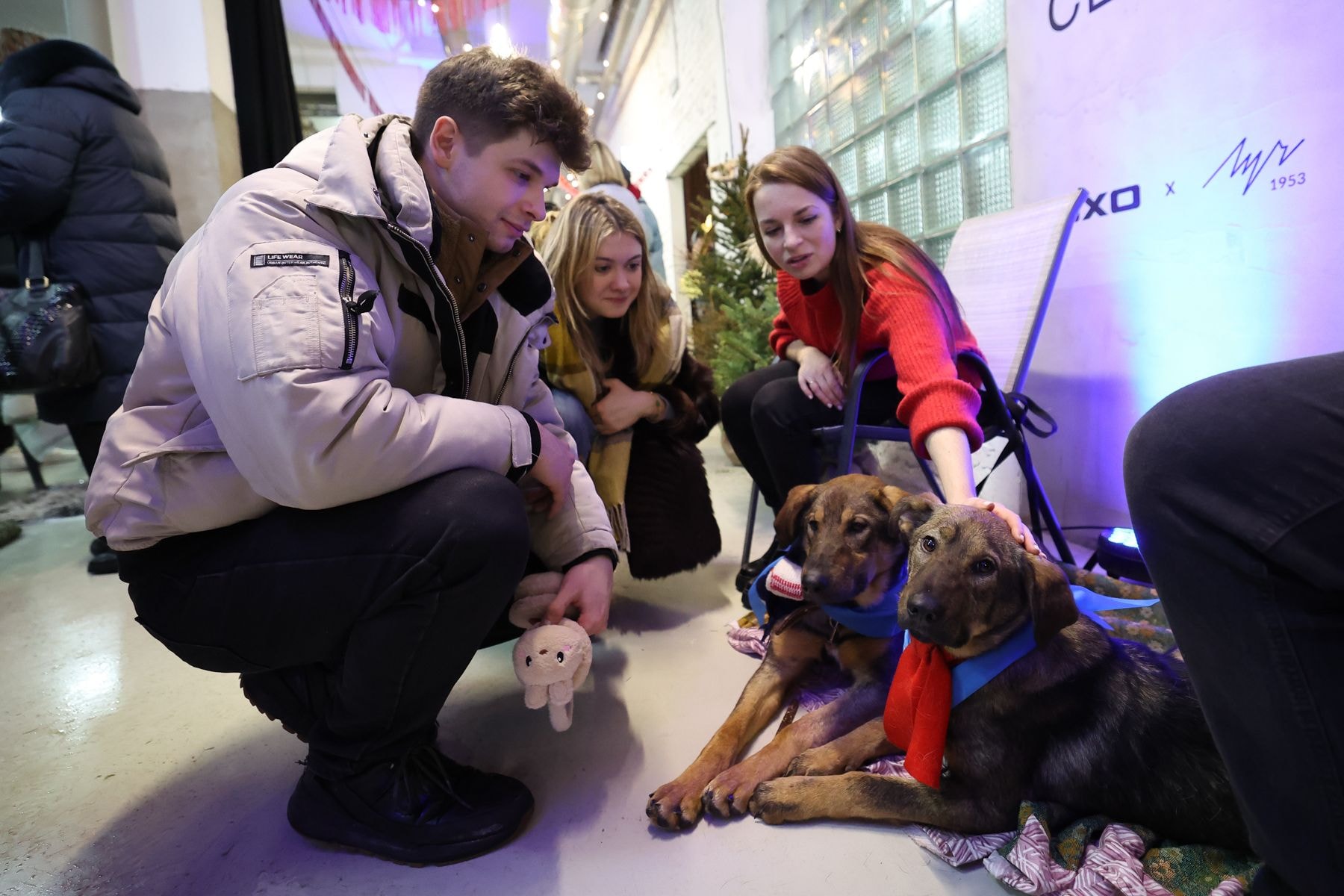 © Павел Орловский, Times.by