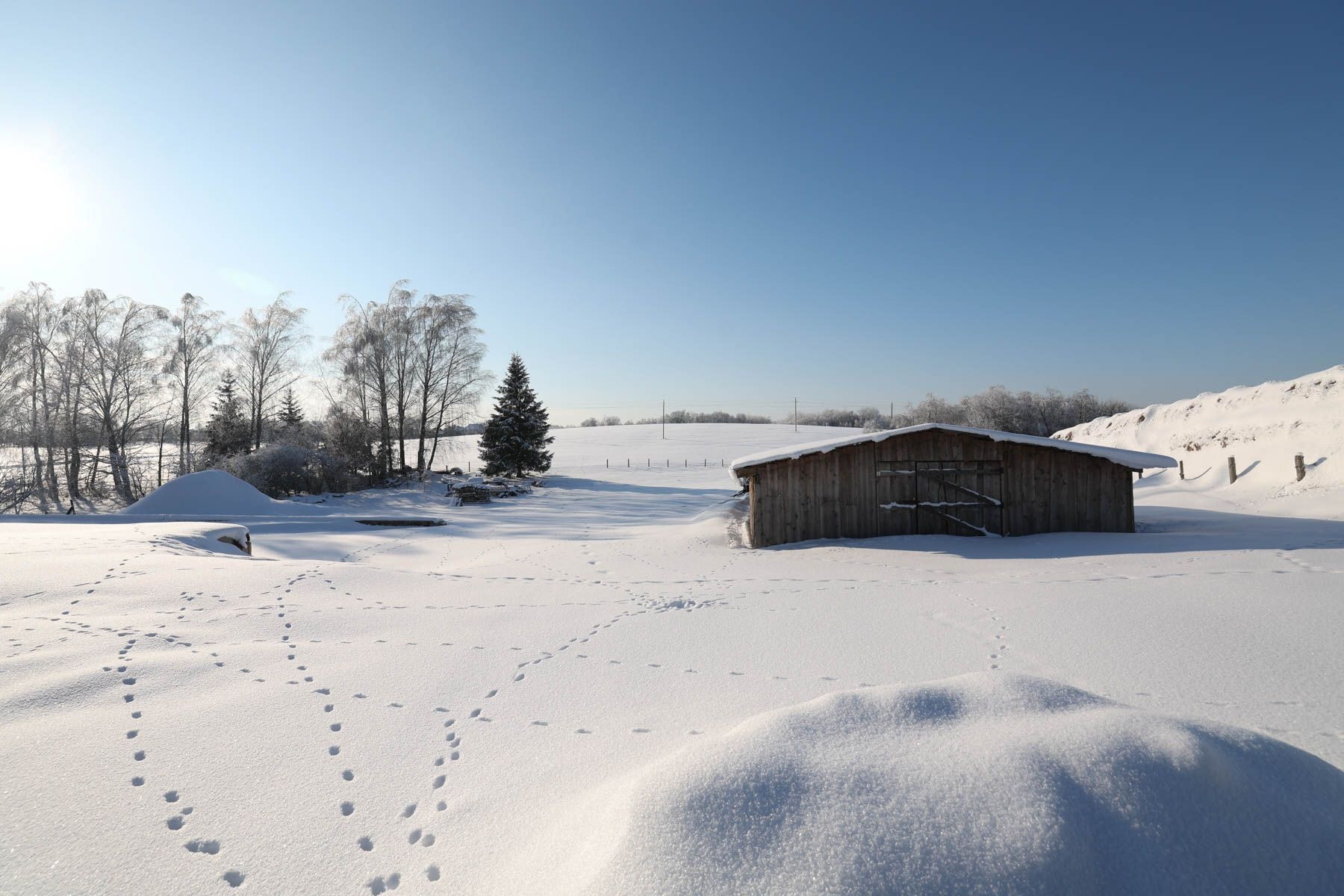 © Павел Орловский, Times.by