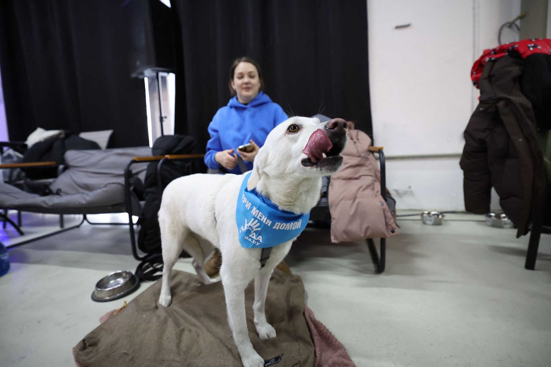 © Павел Орловский, Times.by