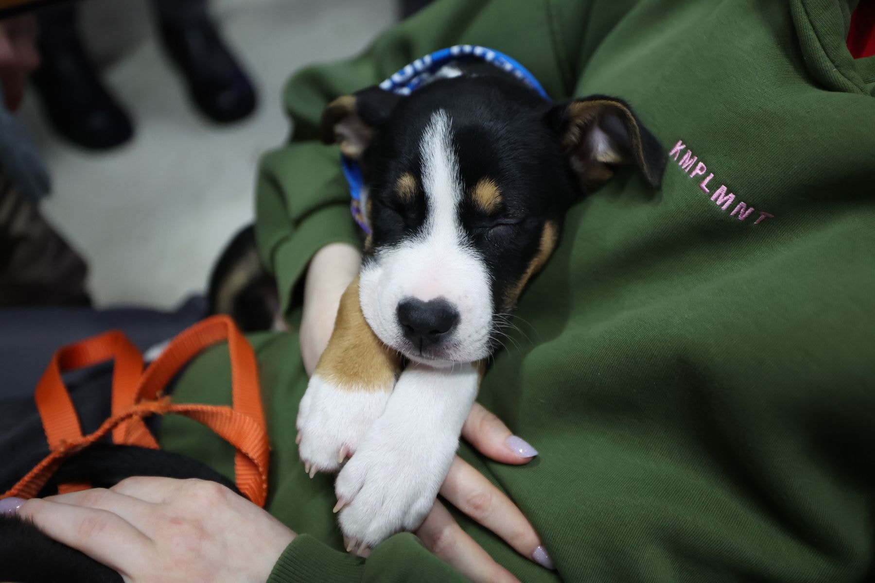 © Павел Орловский, Times.by