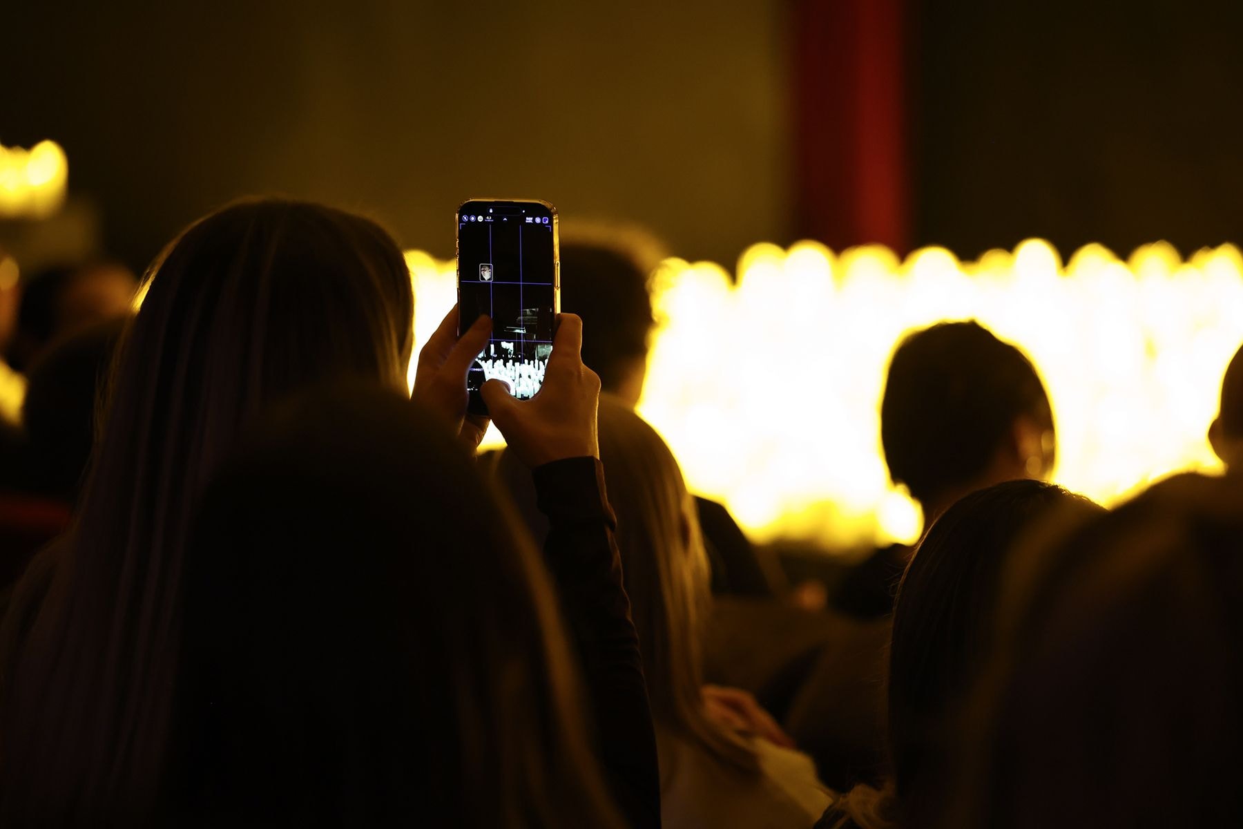 На концерте Александра Орловича