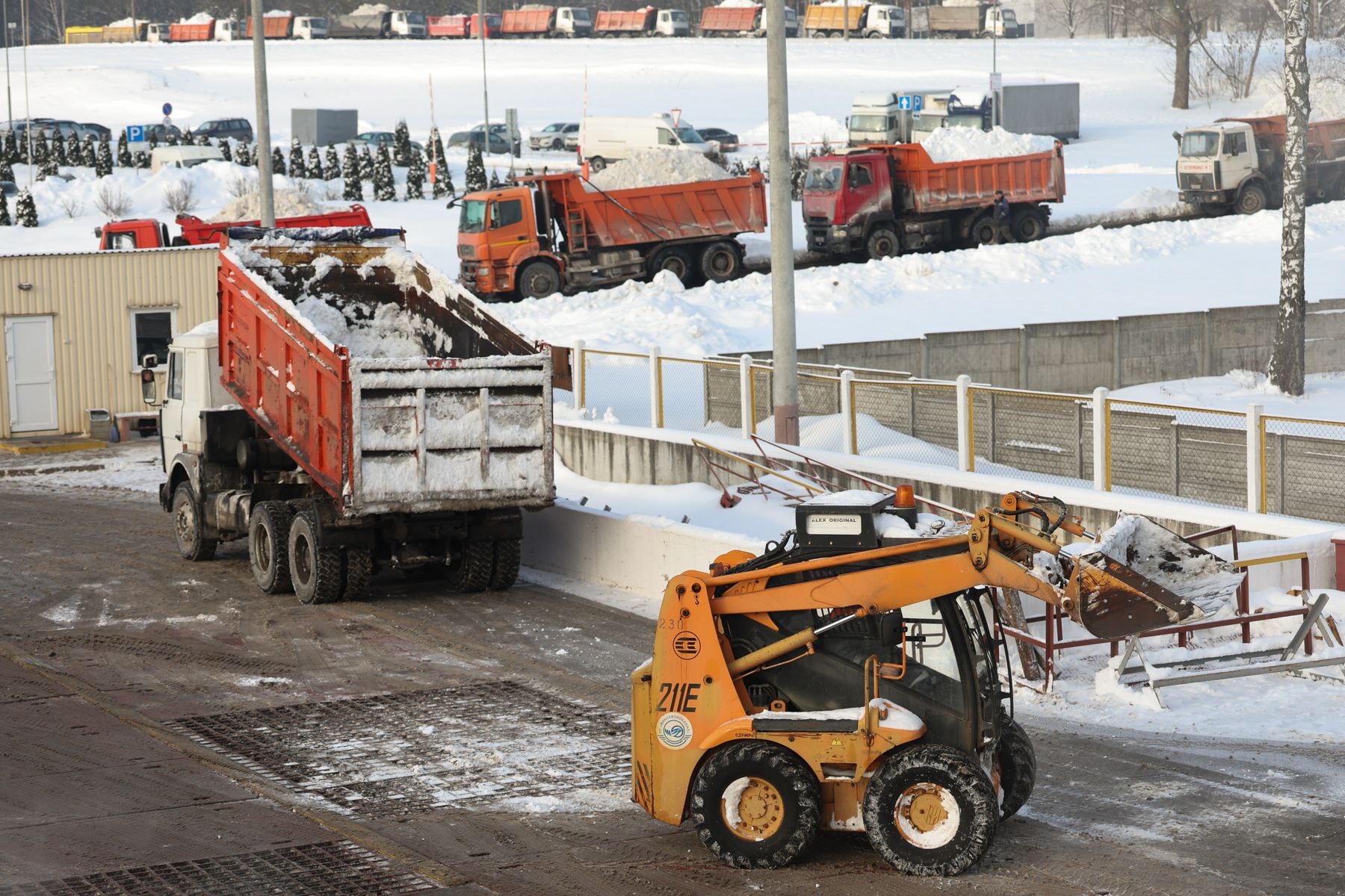 © Павел Орловский, Times.by