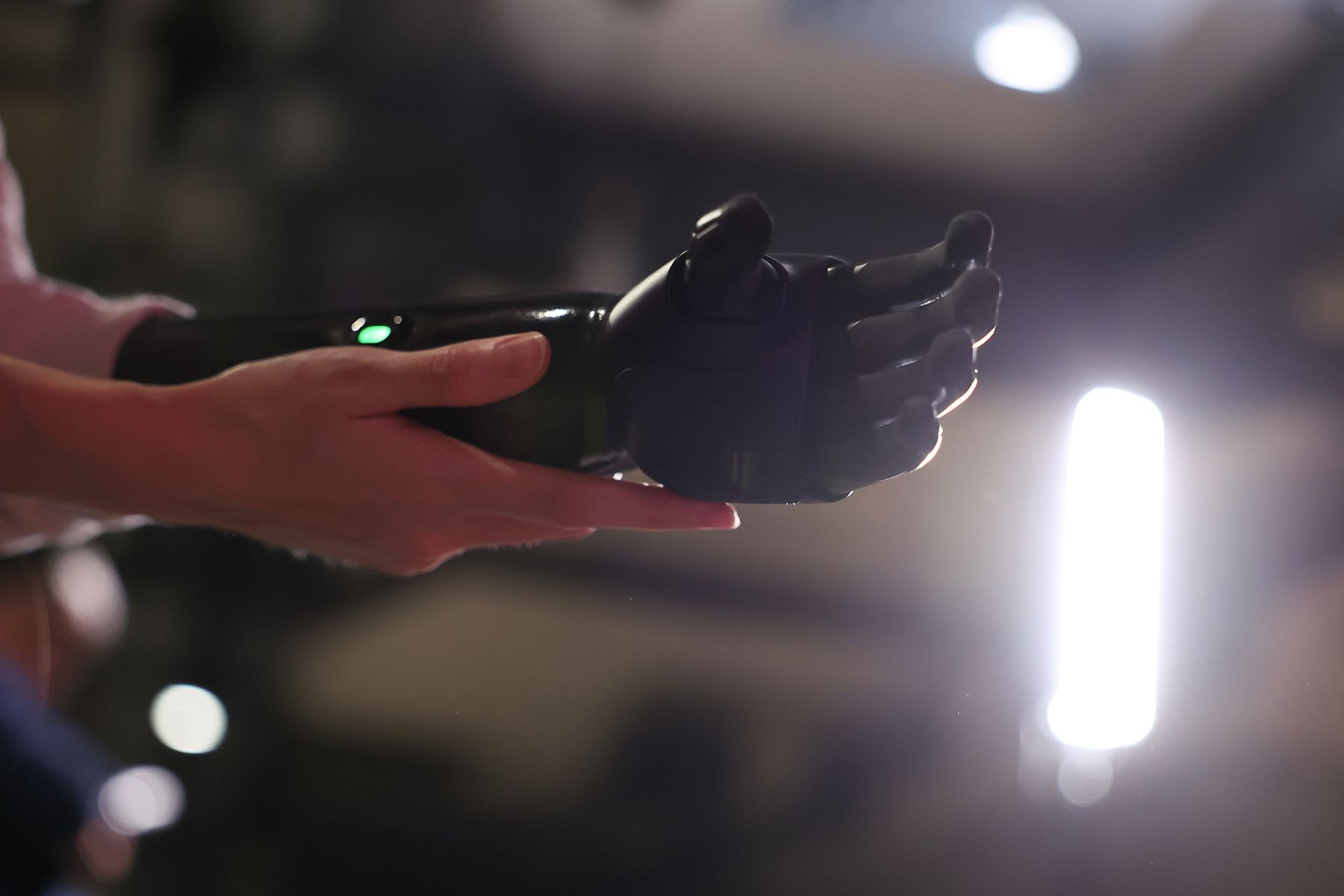 Елизавета Чернявская 