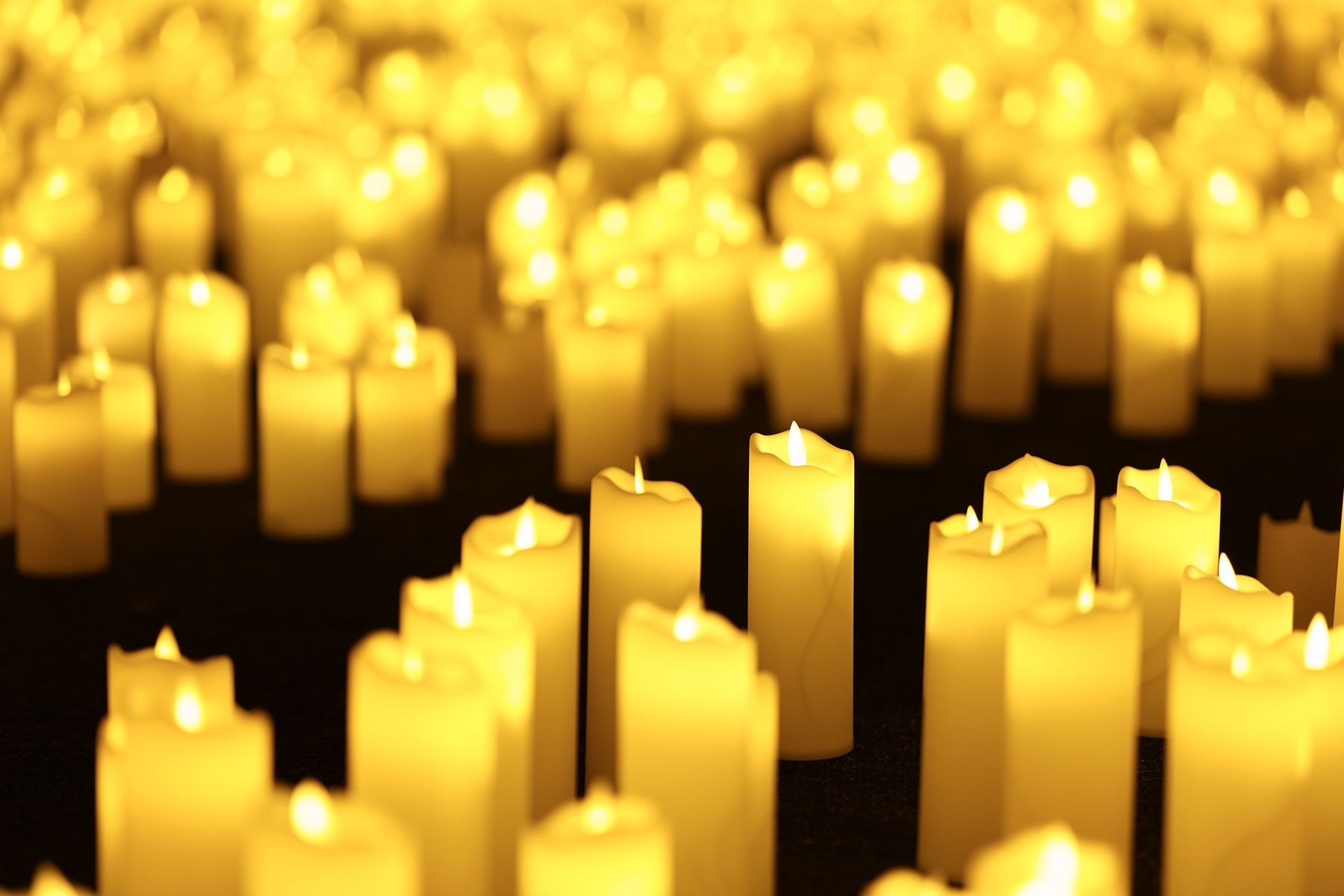 На концерте Александра Орловича