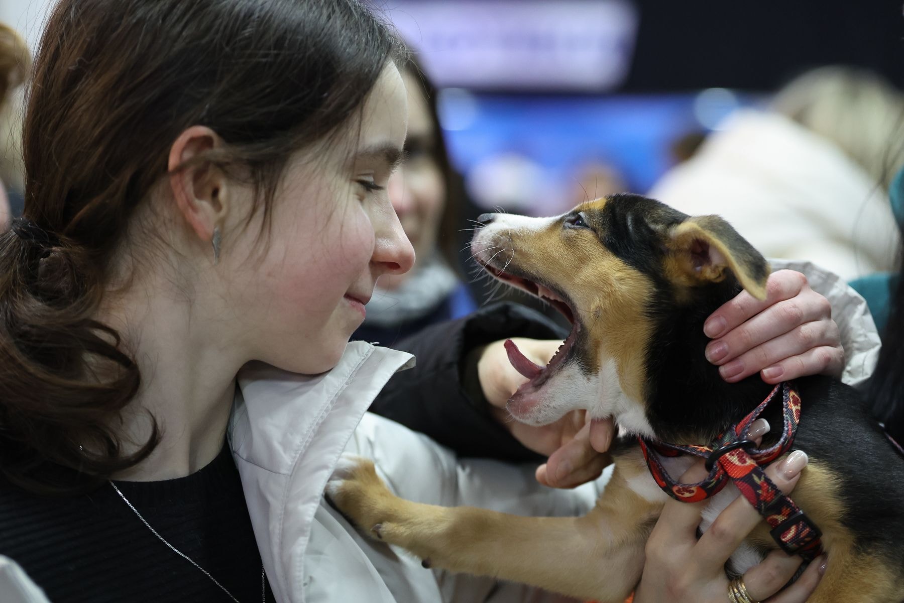 © Павел Орловский, Times.by