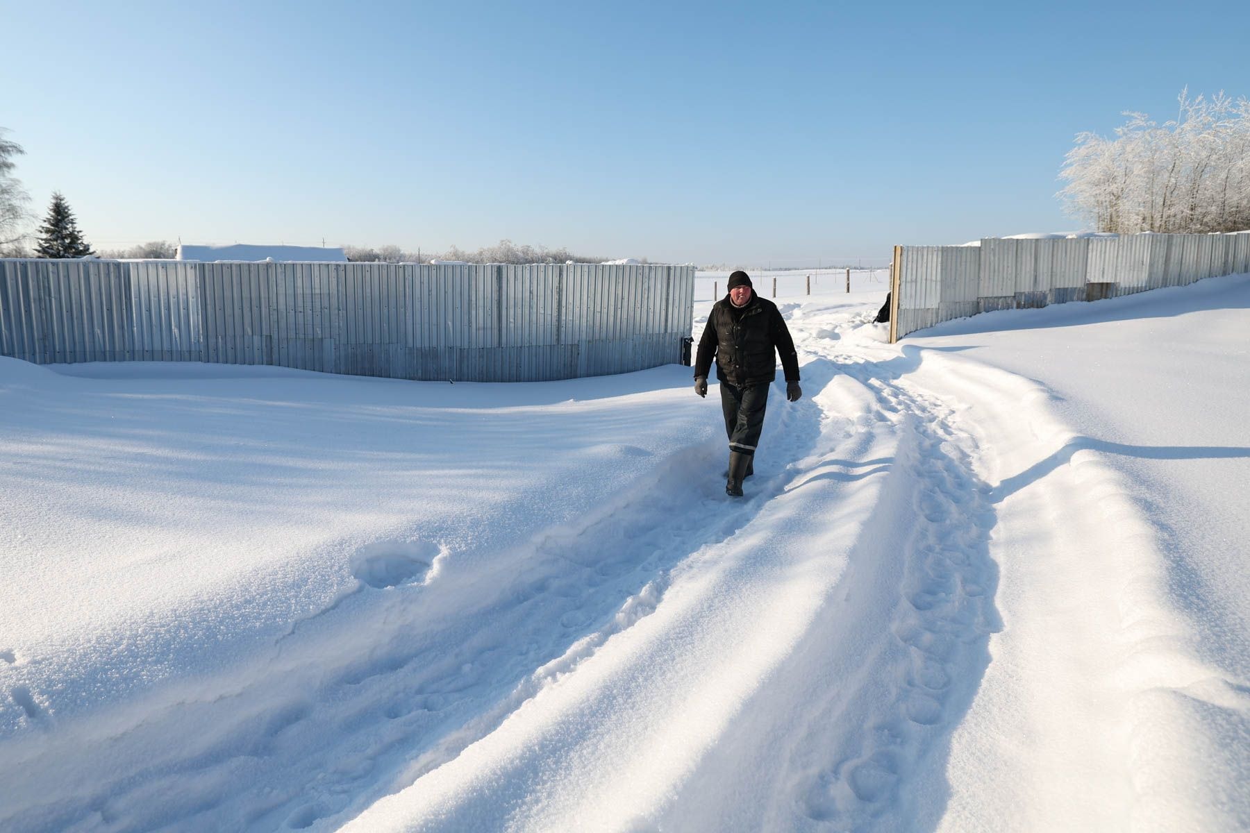 © Павел Орловский, Times.by