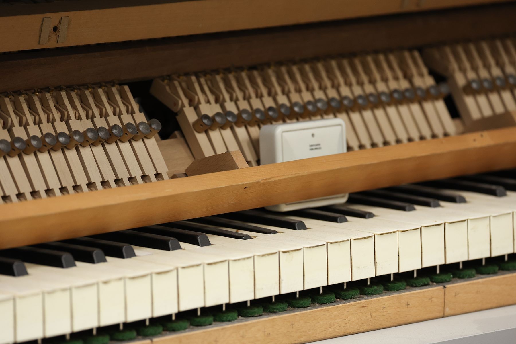 В мастерской Grand Piano Lab