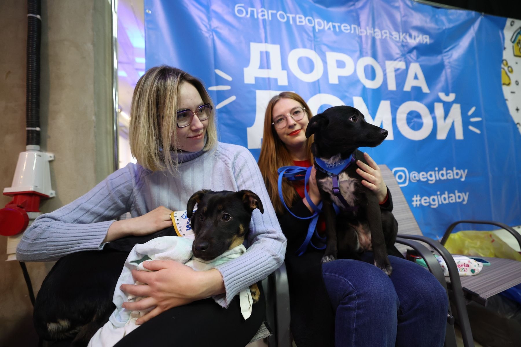 © Павел Орловский, Times.by