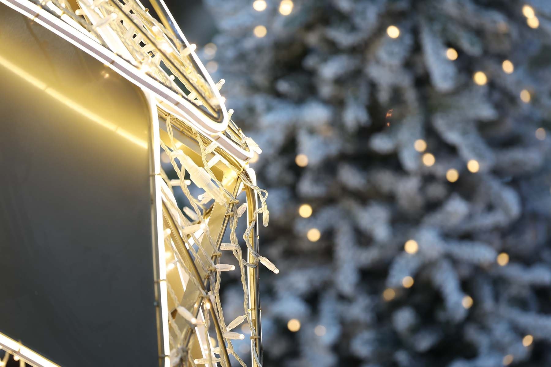 © Павел Орловский, Times.by