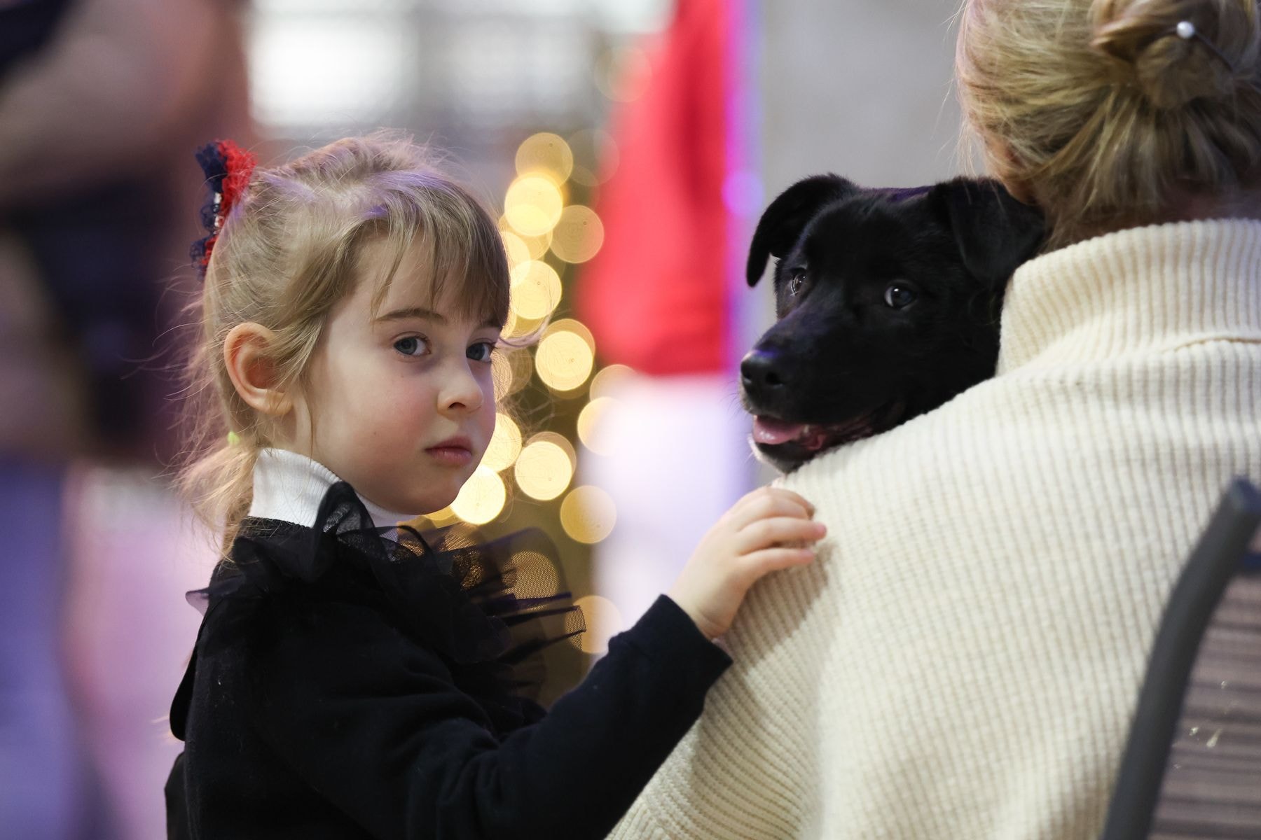 © Павел Орловский, Times.by