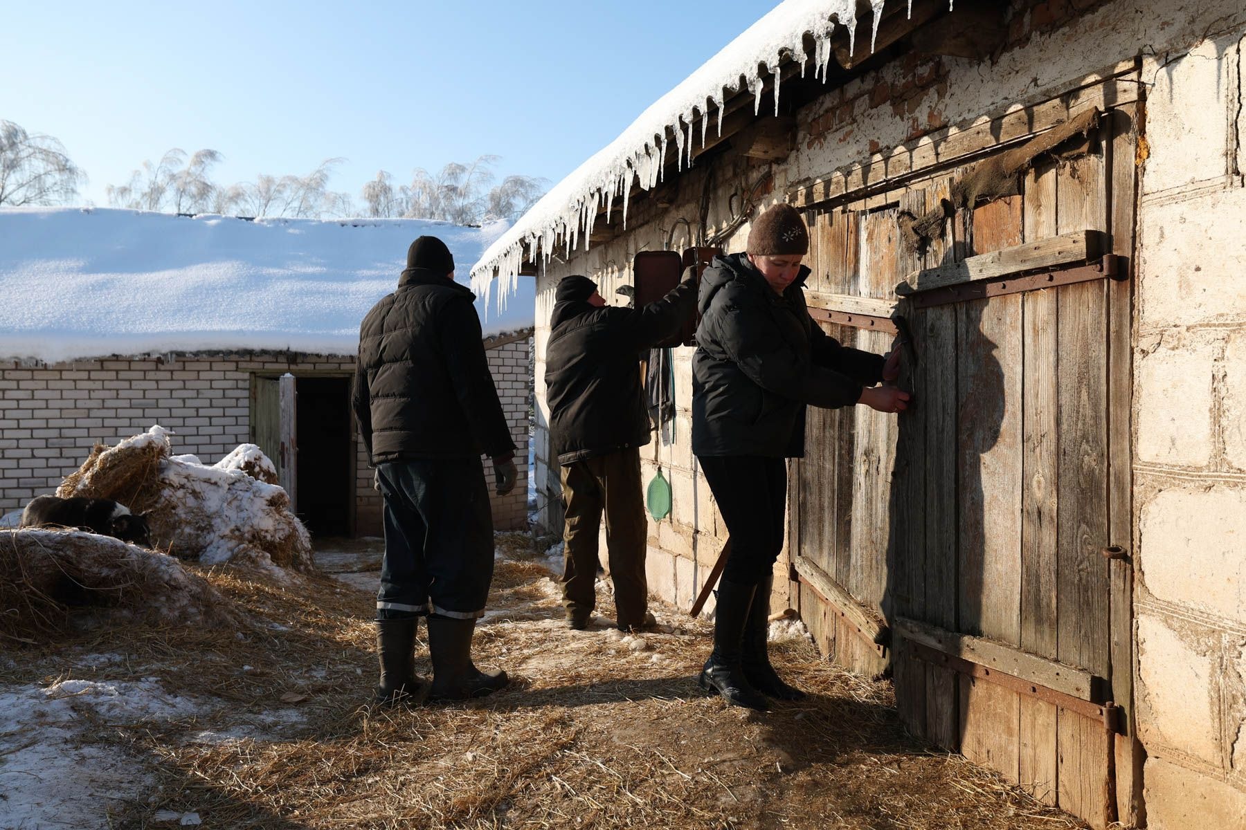 © Павел Орловский, Times.by