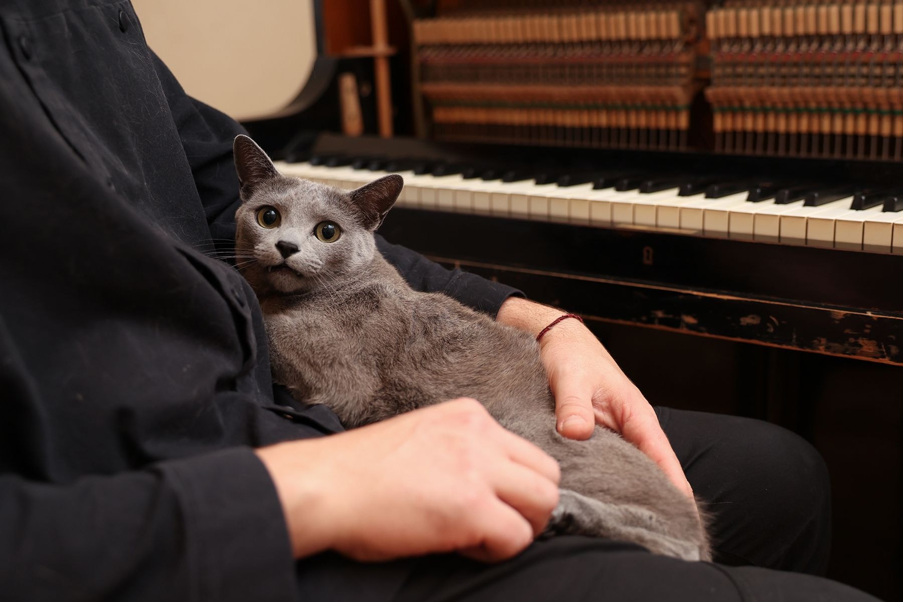 Александр Орлович