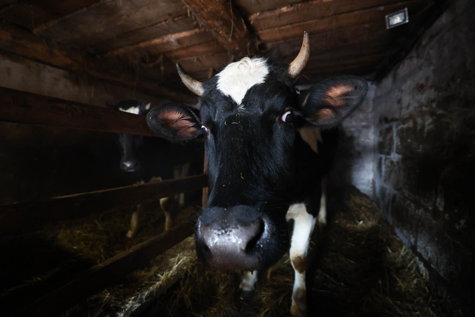 © Павел Орловский, Times.by