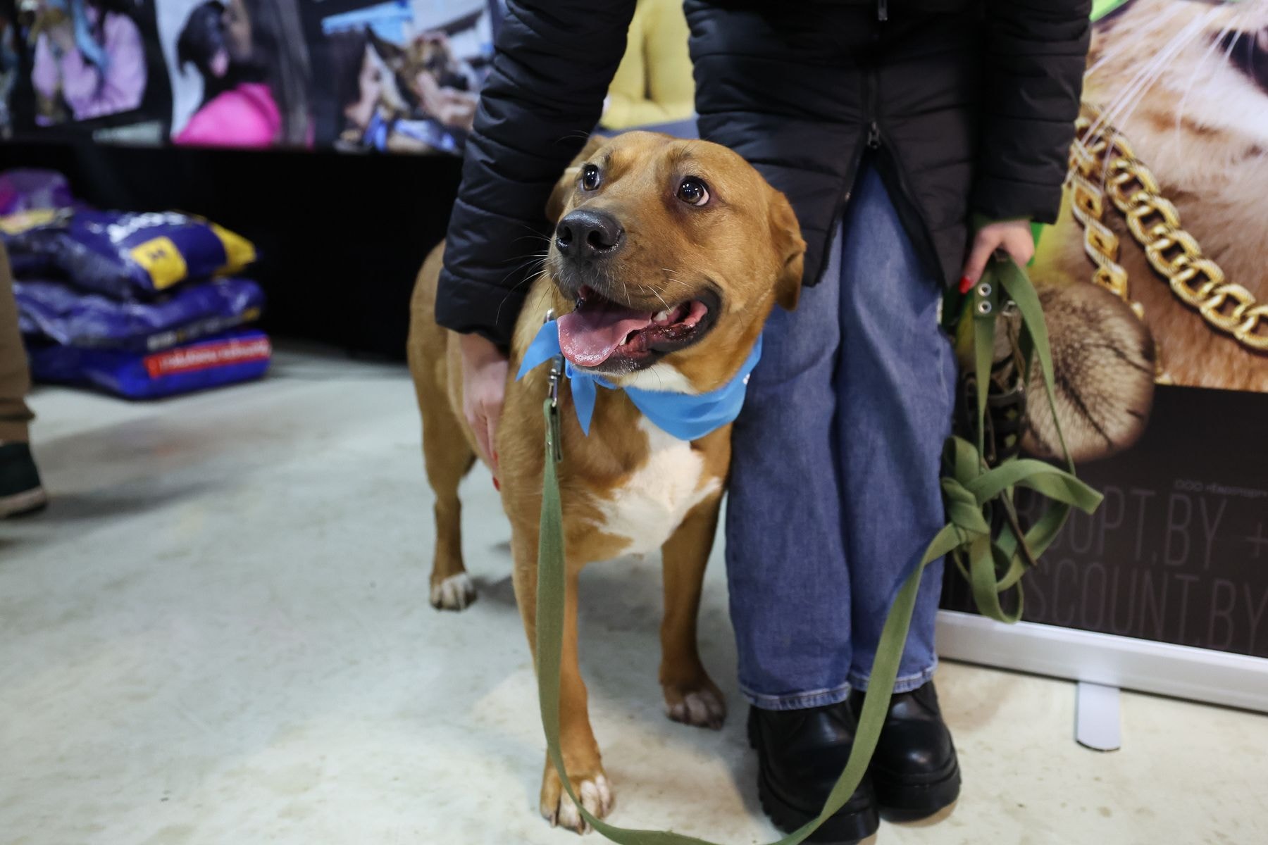 © Павел Орловский, Times.by