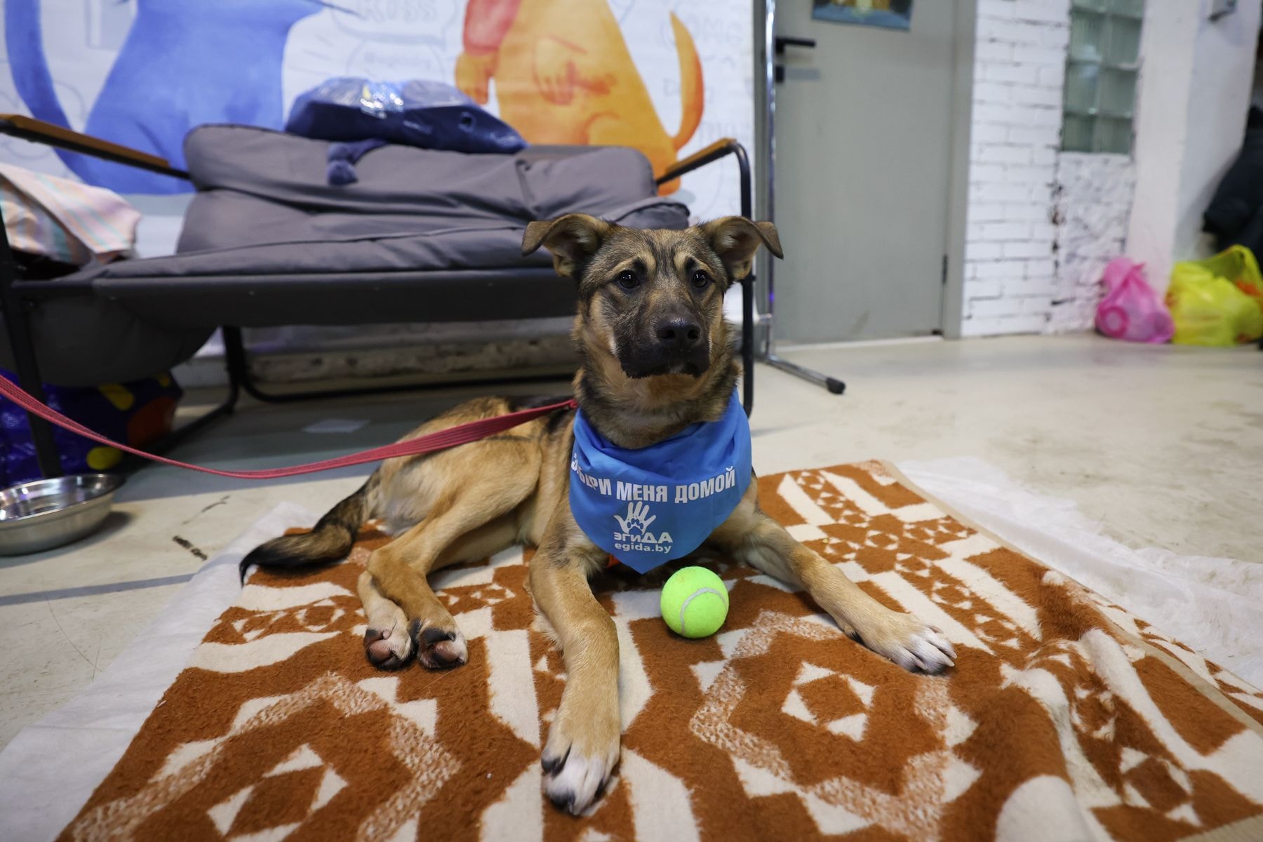 © Павел Орловский, Times.by