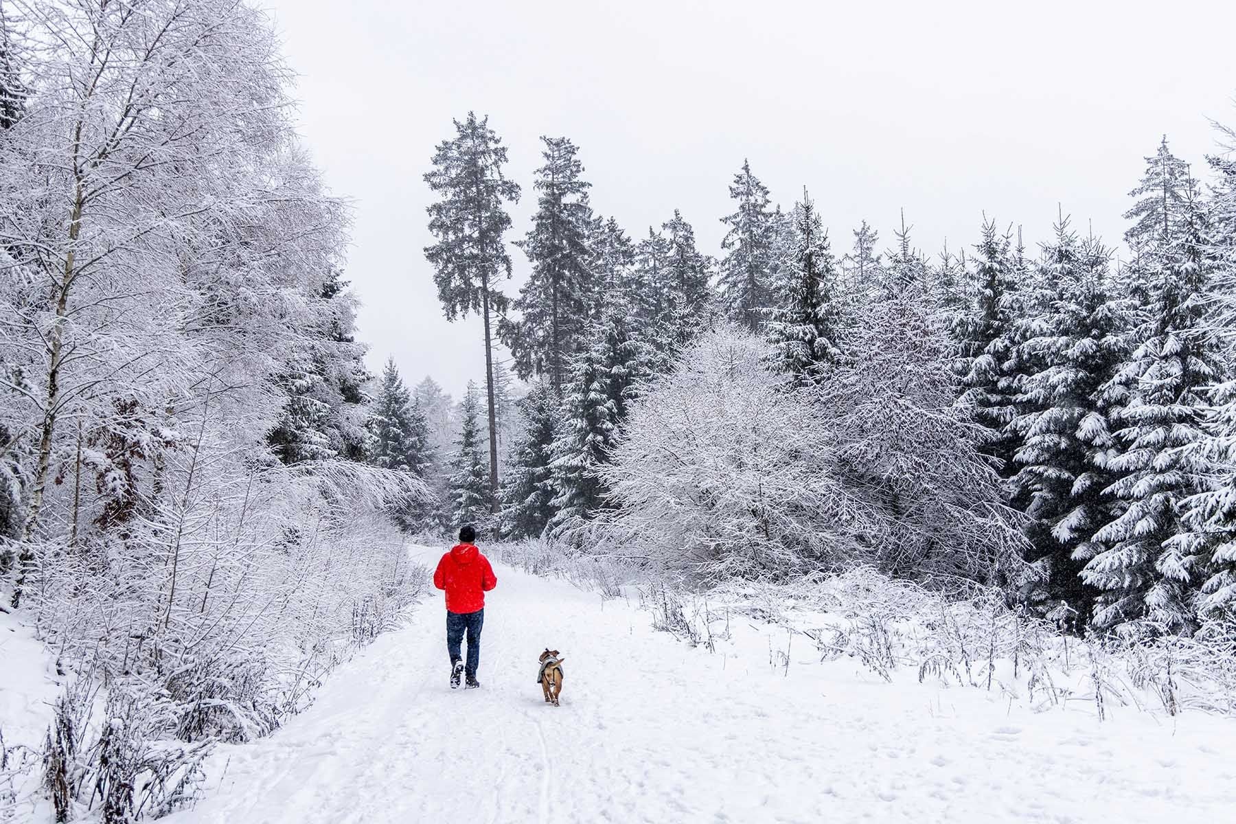 © Jan Eifert, IMAGO / TASS