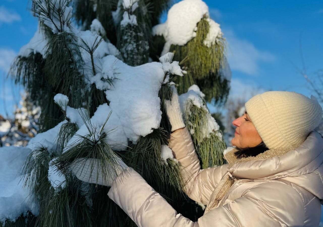 Вечнозеленый сад Елены Новиковой