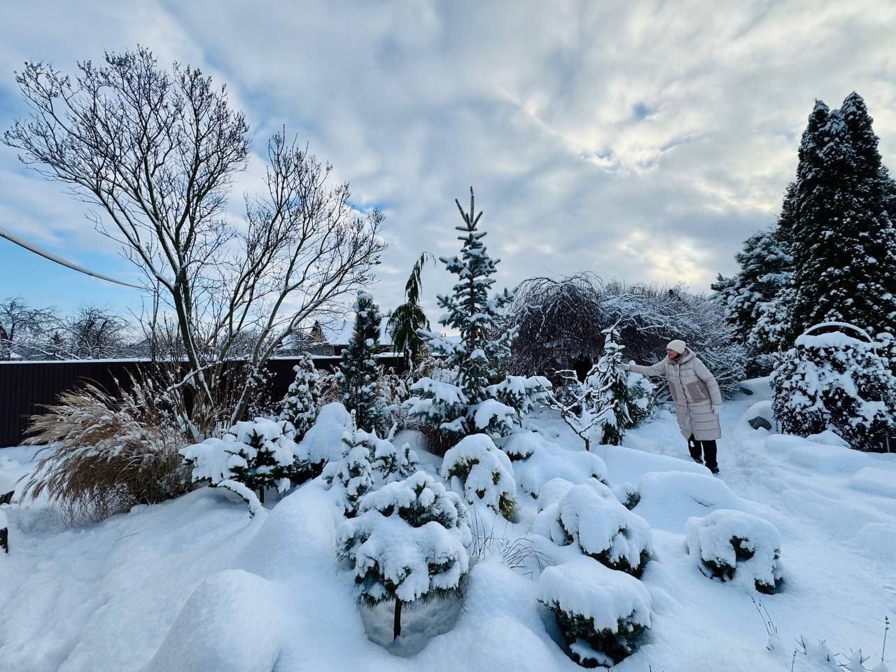 Вечнозеленый сад Елены Новиковой