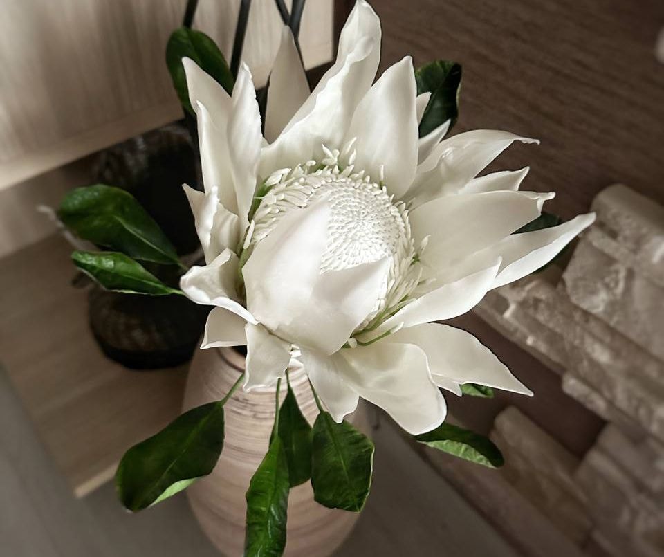 Ветка протеи. Юлия Каток для Times.by