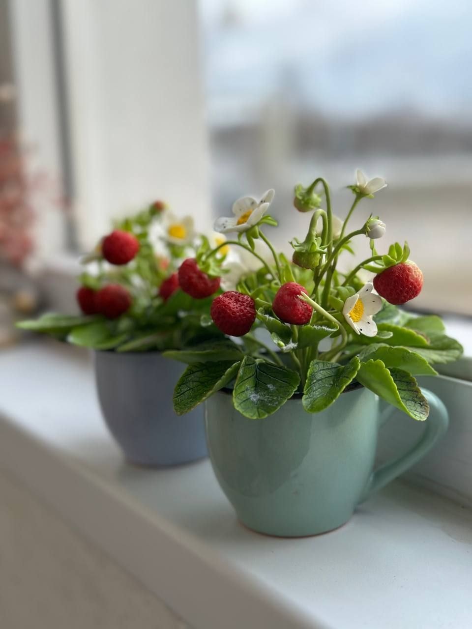 Юлия Каток для Times.by