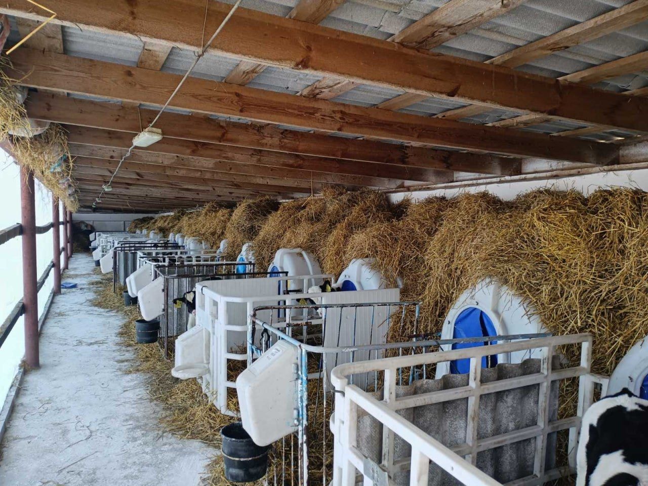 © Минсельхозпрод Беларуси