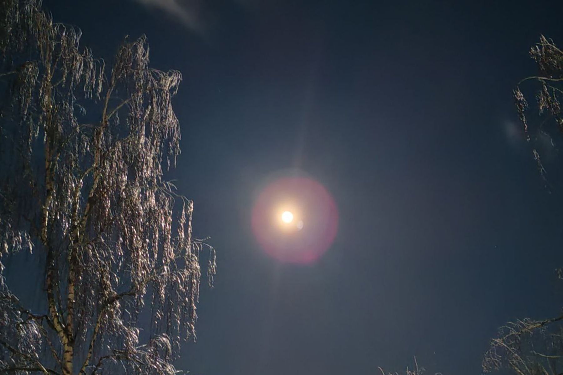 Снежная Луна