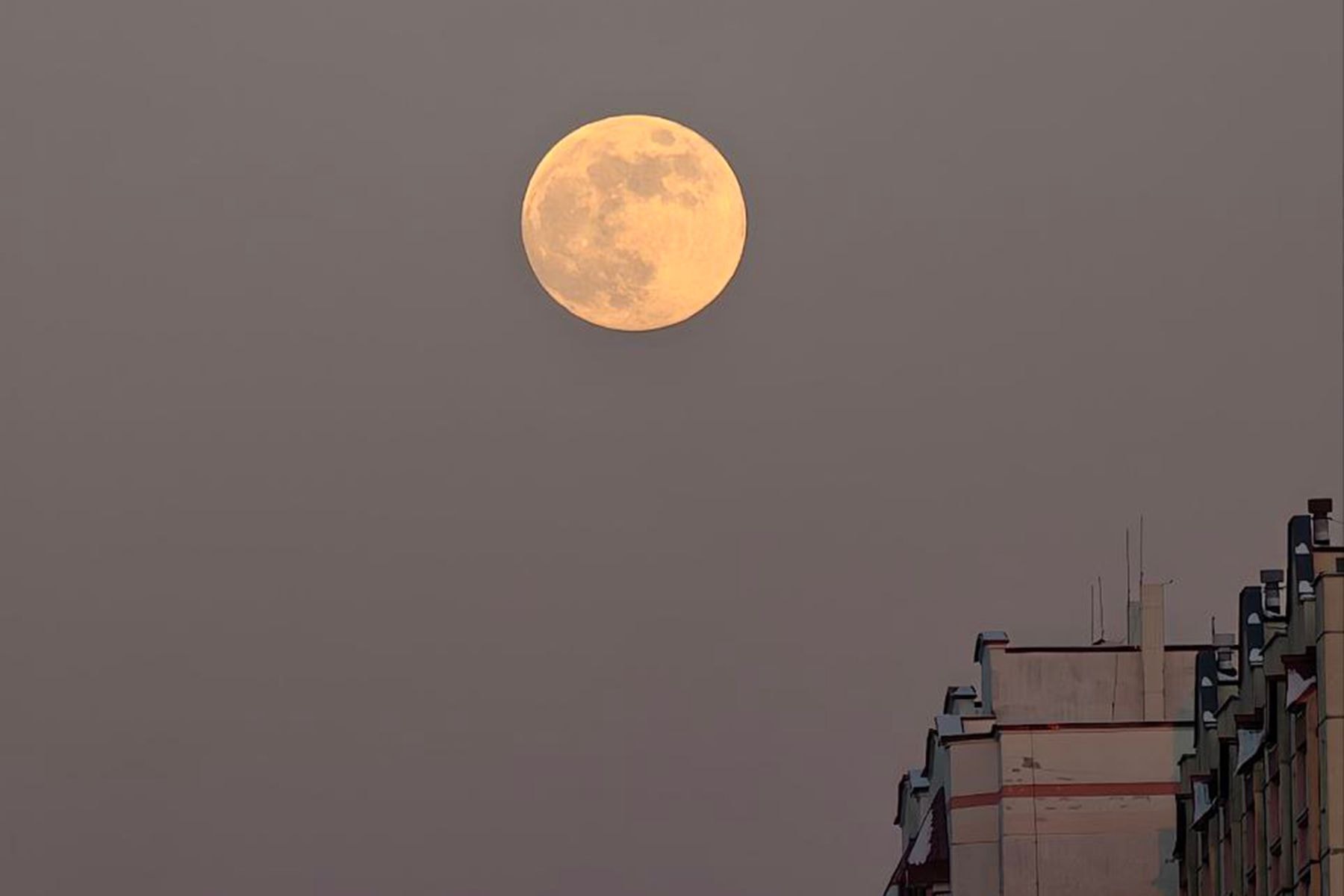 Снежная Луна